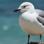 Freinage régénératif inactif : Pourquoi la voiture ne ralentit plus ?